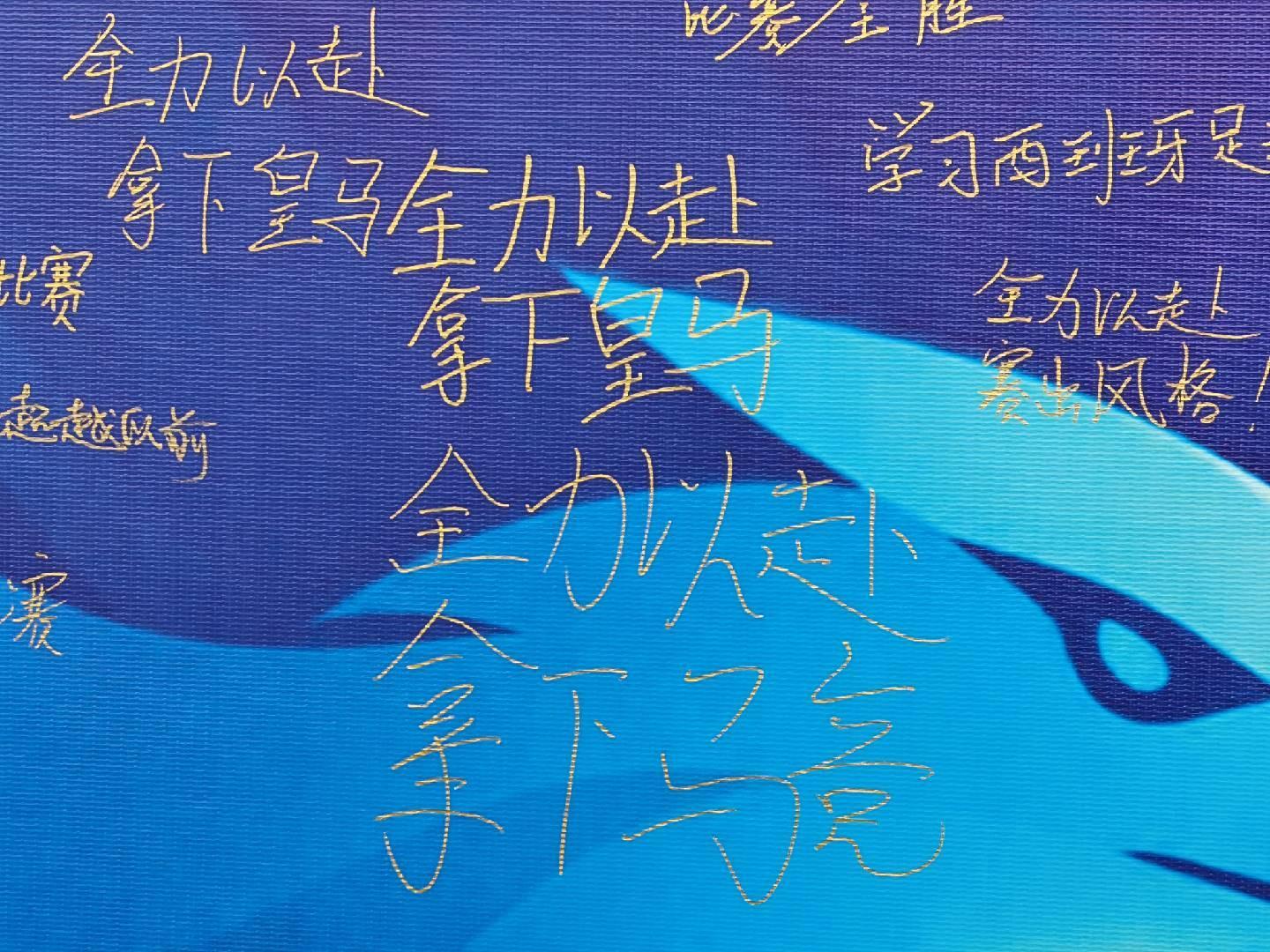 专业必一运动服务