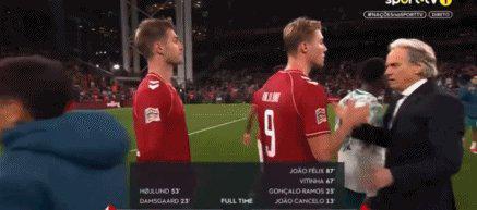 【欧国联】“向C罗致敬！”霍伊伦SIUU，葡萄牙4比2丹麦